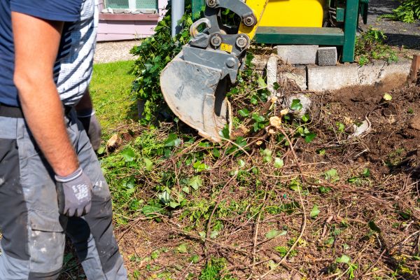Hedge Removal Service in San Mateo