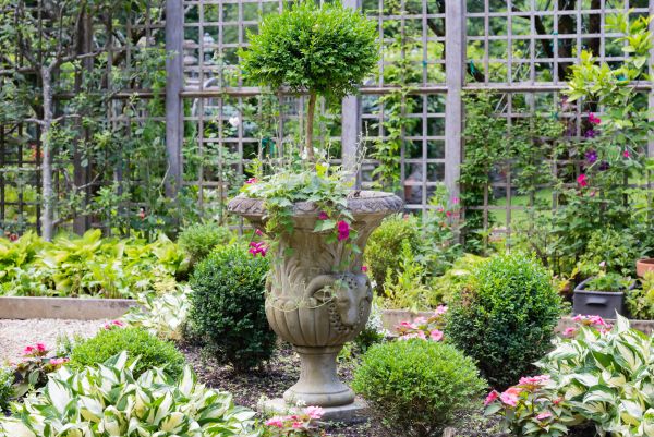 Topiary Pruning in San Mateo