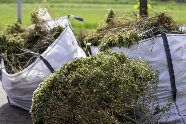 Shrubs Removal in San Mateo