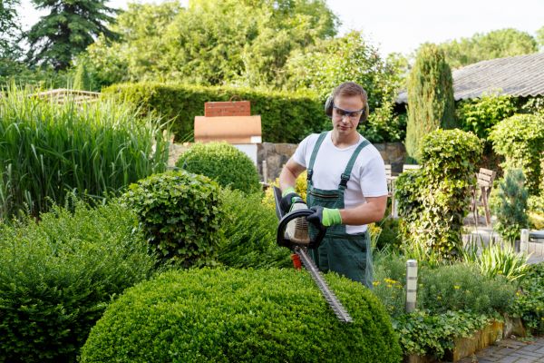 Shrubs Trimming in San Mateo