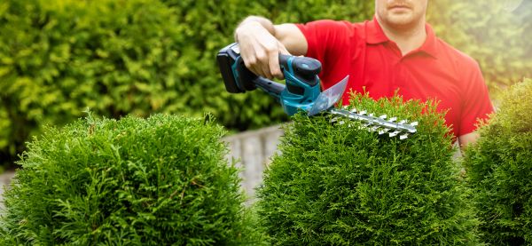 Hedge Shaping Service in San Mateo