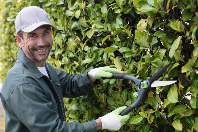 Hedge Pruning
